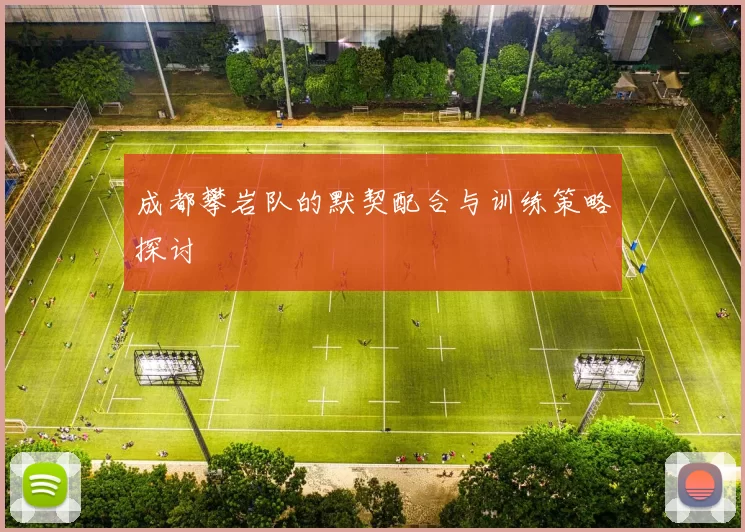 成都攀岩队的默契配合与训练策略探讨