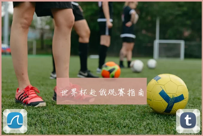 世界杯赴俄观赛指南