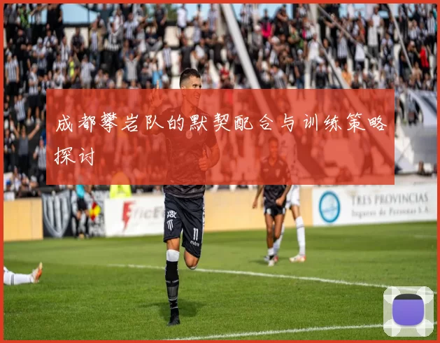成都攀岩队的默契配合与训练策略探讨
