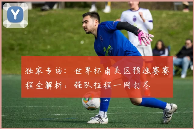 独家专访：世界杯南美区预选赛赛程全解析，强队征程一网打尽