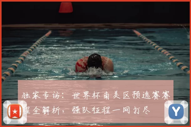 独家专访：世界杯南美区预选赛赛程全解析，强队征程一网打尽
