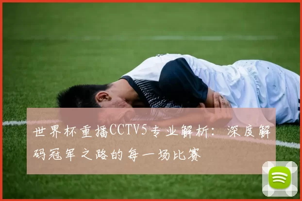世界杯重播CCTV5专业解析:深度解码冠军之路的每一场比赛