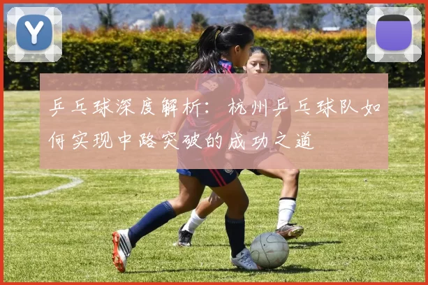 乒乓球深度解析：杭州乒乓球队如何实现中路突破的成功之道