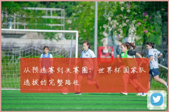 从预选赛到决赛圈：世界杯国家队选拔的完整路径