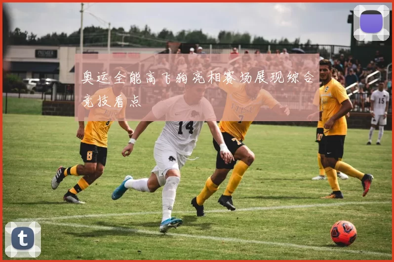 奥运全能高飞狗亮相赛场展现综合竞技看点