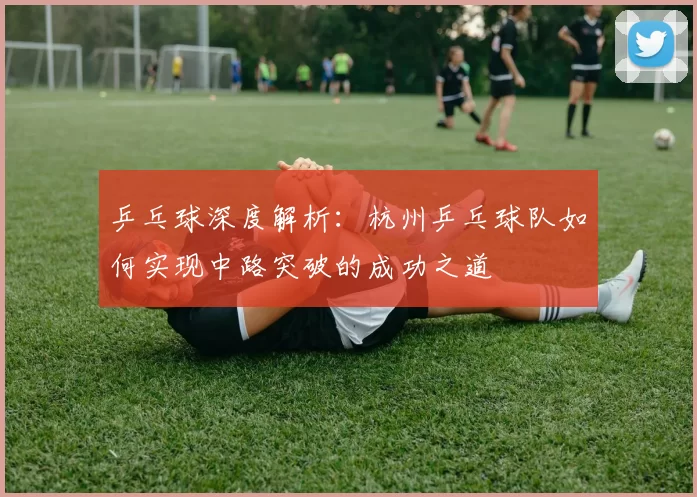 乒乓球深度解析：杭州乒乓球队如何实现中路突破的成功之道